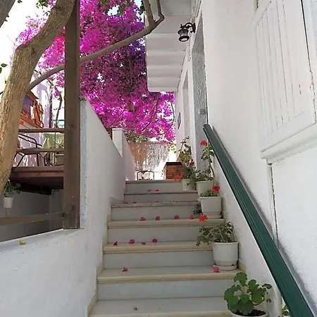 Syrianos *
